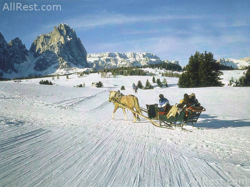 Hotel Cavallino Bianco 86